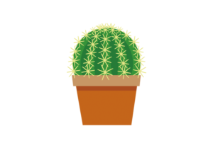 丸いサボテンのイラスト