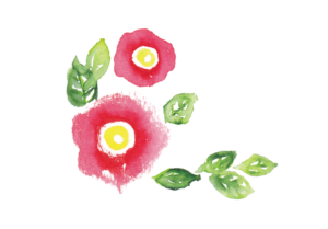 水彩で描いた椿のイラスト
