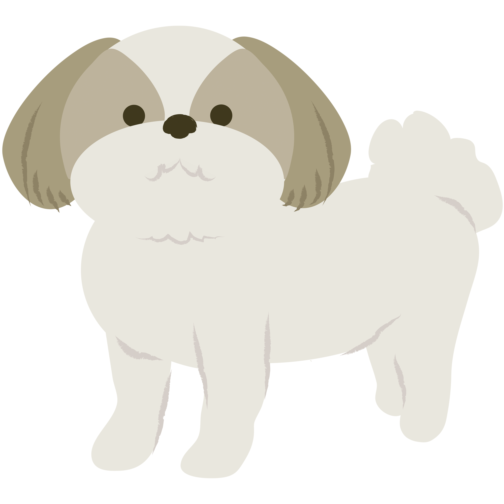 シーズー犬をイメージした犬のイラスト イラスト素材館