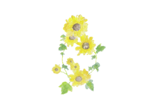 菖蒲の花のイラスト イラスト素材館