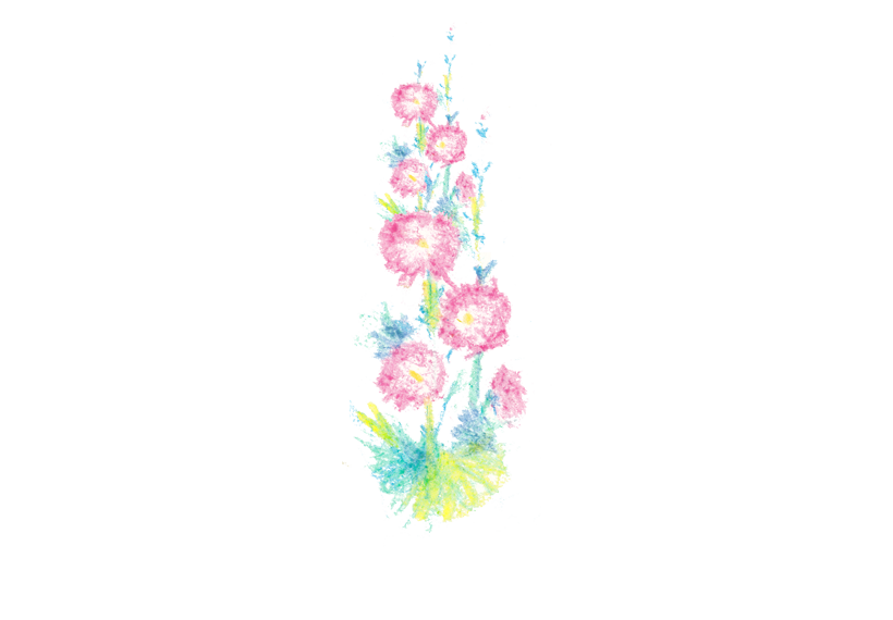 クレヨン風に描いたムクゲの花のイラスト イラスト素材館