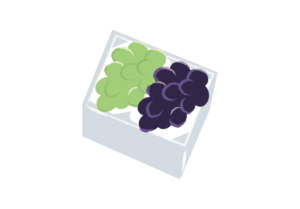 お中元に贈るぶどうのイラスト