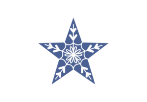 模様を描き込んだ星マーク