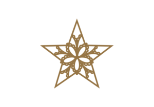 ガーリーなレース模様の星