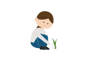 草むしりをする女性のイラスト