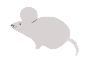 横向きのネズミのイラスト