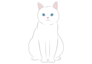 お座りする白猫のイラスト