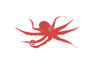 真っ赤なタコのイラスト