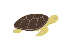 ウミガメのイラスト
