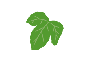 ブドウの葉のイラスト