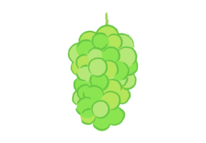 色鮮やかなマスカットのイラスト