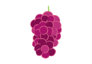 熟した赤ブドウを描いたイラスト