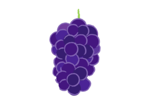 大きく実った紫色のブドウのイラスト