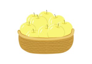 カゴに盛られた黄色いリンゴのイラスト