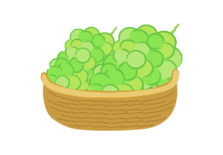 カゴに盛られたマスカットのイラスト