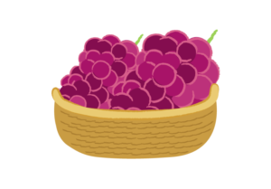 カゴに盛られた赤ブドウのイラスト