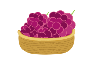 カゴに盛られた赤ブドウのイラスト