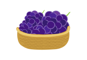 カゴに盛られた紫ブドウのイラスト