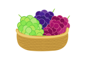 様々なブドウを盛り付けたイラスト