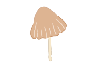 ナヨタケを描いたイラスト