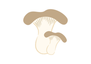 大小のエリンギを描いたイラスト