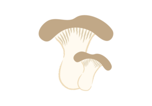 大小のエリンギを描いたイラスト