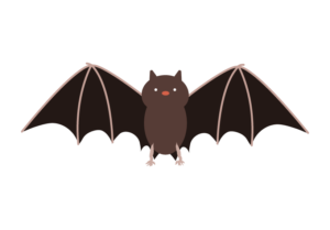 羽を広げたコウモリのイラスト