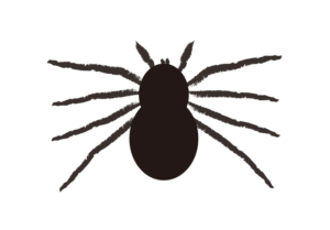 不気味で大きな蜘蛛のイラスト