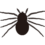 不気味で大きな蜘蛛のイラスト