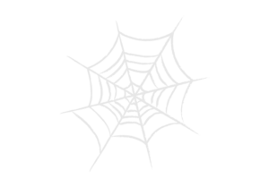 白い線で描いた不気味なクモの巣