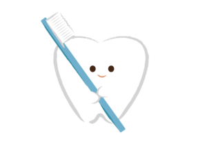 歯ブラシを持った奥歯のイラスト
