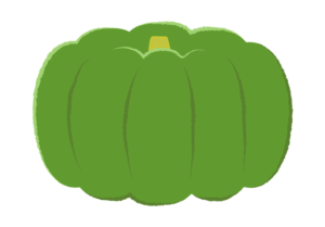 大きな緑のカボチャのイラスト