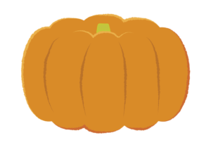 オレンジ色の大きなカボチャのイラスト