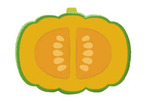 半分にカットしたカボチャのイラスト