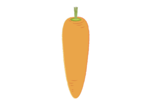 美味しそうな人参のイラスト